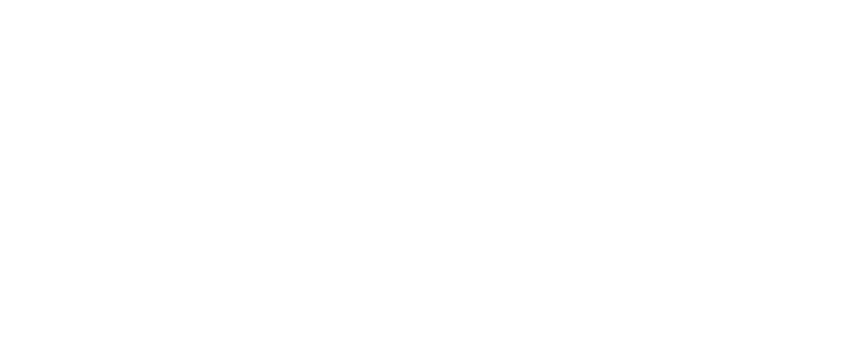 THE NEW INSIDER
